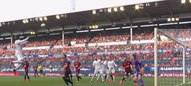 1581268517590741.gif 4.gif