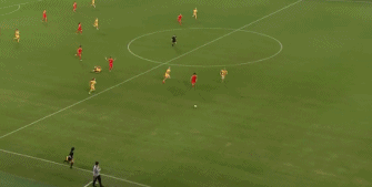 1581647384110729.gif 11.gif