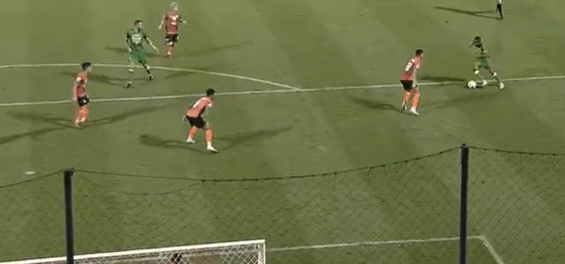 1582034949879608.gif 4.gif