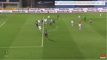 1593051935815544.gif 44.gif