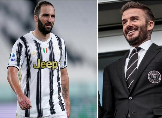 贝克汉姆再获强援!伊瓜因将与迈阿密国际签约2年 贝克汉姆再获强援!伊瓜因将与迈阿密国际签约2年