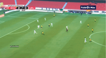 1602646439714601.gif 33.gif