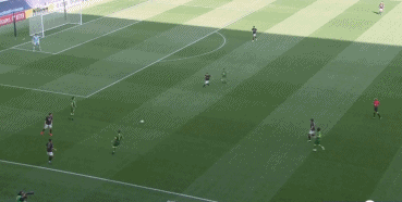 1605962255663752.gif 2.gif