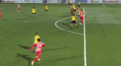 1608162967567264.gif 4.gif