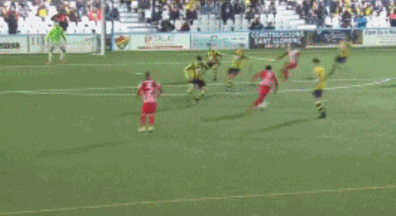 1608162975422604.gif 2.gif