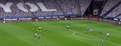 1610335023325303.gif 22.gif