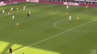 1617465998921659.gif 3.gif