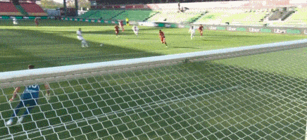 1619305504493152.gif 5.gif