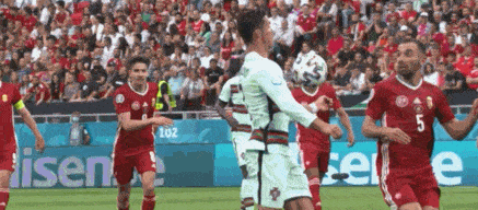 1623780931623452.gif 18.gif