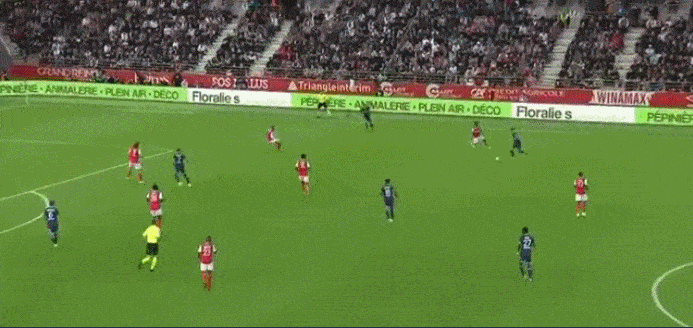 1630275028551916.gif 01.gif