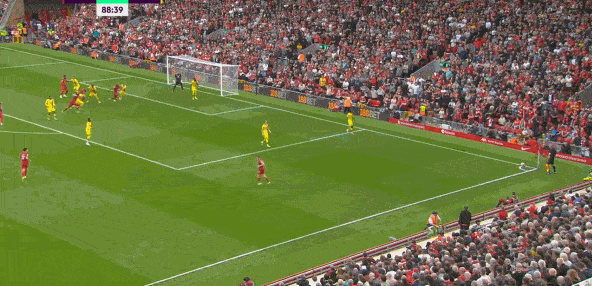 1632148383670666.gif 1632148383670666.gif