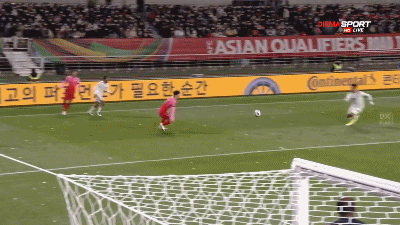 1636639871416595.gif 2.gif