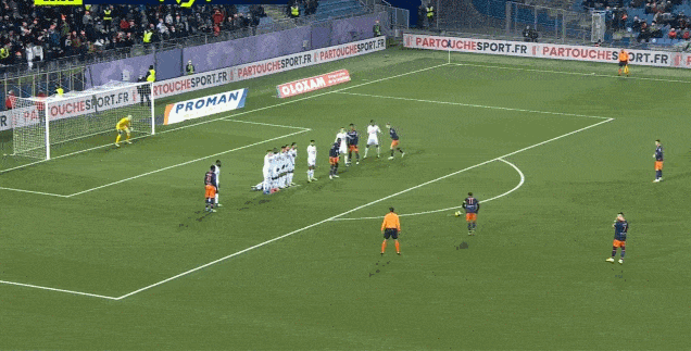 蒙彼利埃核心圆月弯刀 蒙彼利埃核心圆月弯刀