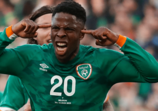 友谊赛-比利时2-2爱尔兰 巴舒亚伊兜射建功瓦肯纳头槌破门 友谊赛-比利时2-2爱尔兰 巴舒亚伊兜射建功瓦肯纳头槌破门