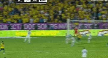 1648604971291982.gif 02.gif