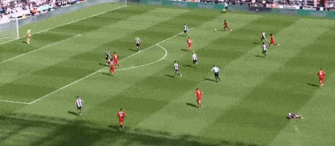 1651327948312676.gif 2.gif