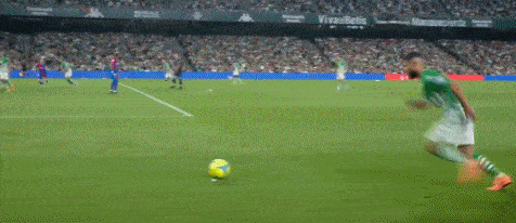 1651966089779952.gif 2.gif