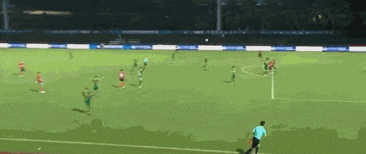 1654609006114077.gif 2.gif