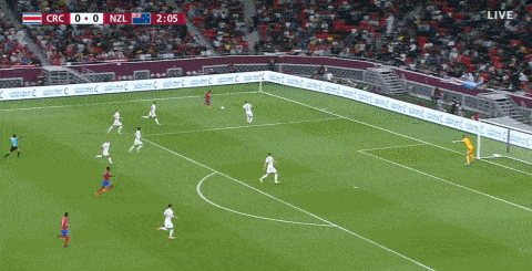 1655249542835110.gif 2.gif