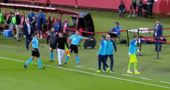 1664658129477714.gif 3.gif