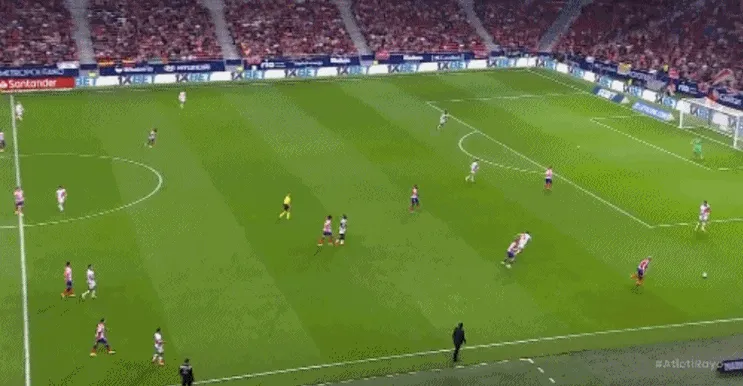 1666136396722795.gif 2.gif