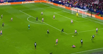 1666818250403195.gif 2.gif