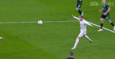 1667418879595037.gif 06.gif