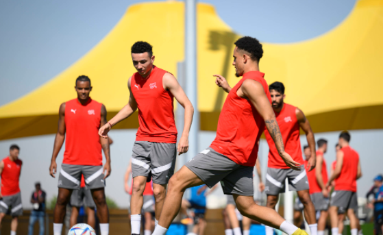 世界杯前瞻-瑞士VS喀麦隆:恩博洛对阵祖国球队 喀麦隆期待告别连败 世界杯前瞻-瑞士VS喀麦隆:恩博洛对阵祖国球队 喀麦隆期待告别连败