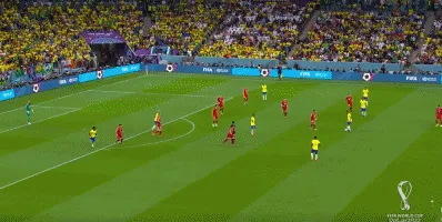 1669323539562830.gif 2.gif