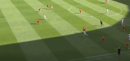 1669378303823929.gif 2.gif