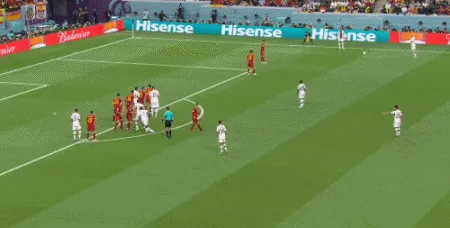 1669578653284454.gif 2.gif