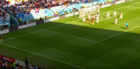 1669633043945932.gif 2.gif