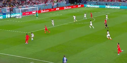 1669647883261216.gif 01.gif