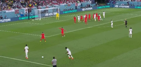 1669648138547206.gif 2.gif