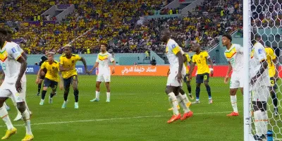 1669741276971357.gif 012.gif