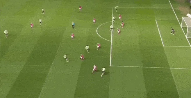 1677630806573788.gif 01.gif