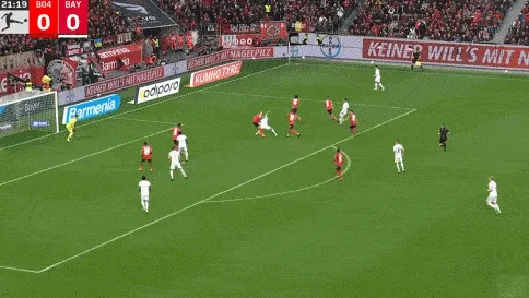 1679251088195607.gif 2.gif