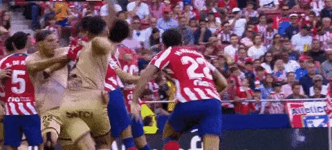 1681672009568077.gif 2.gif