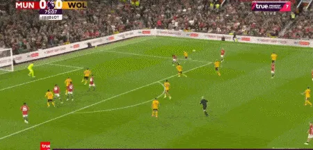 1692049410948004.gif 2.gif