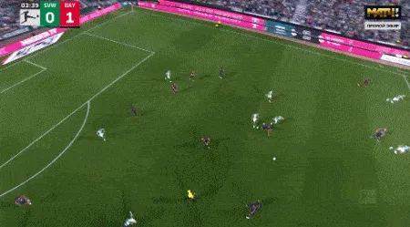 1692391719336123.gif 2.gif