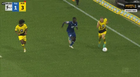 1696022208870230.gif 5.gif