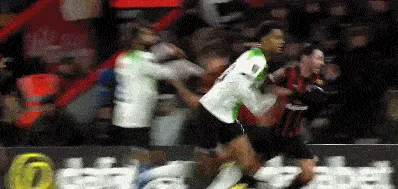 1698882971825527.gif 2.gif