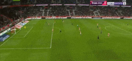 1699726424397751.gif 3.gif