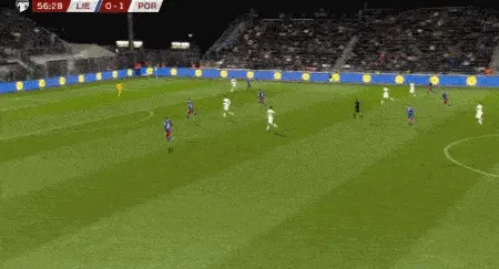 1700179965881830.gif 3.GIF