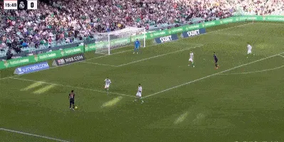 1702145459271624.gif 2.gif