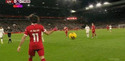 1702848656903042.gif 01.gif