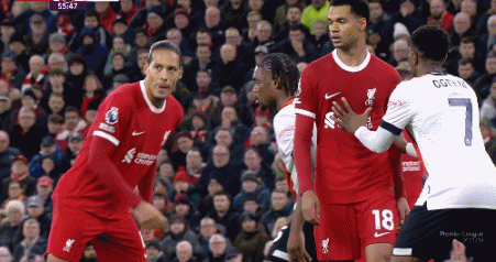 1708560281715566.gif 3.gif