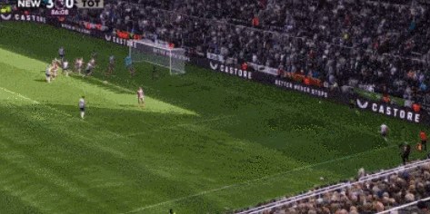 1713015572818942.gif 5.gif