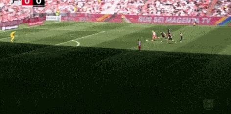 1714236339423934.gif 2.gif