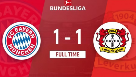 德甲-拜仁1-1药厂,安德里希破门,帕夫天外飞仙 德甲-拜仁1-1药厂,安德里希破门,帕夫天外飞仙